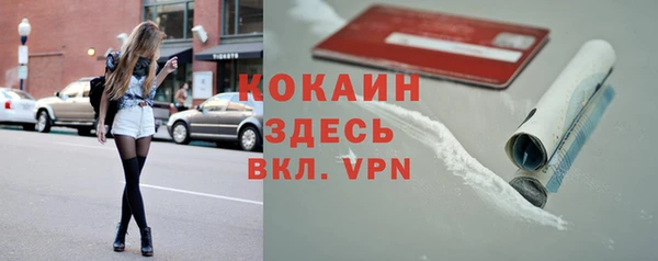 шишки Баксан