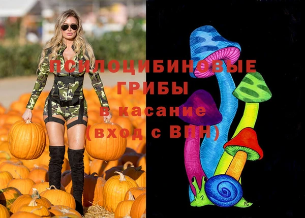 шишки Баксан