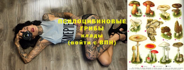 шишки Баксан